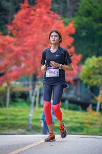 BIB: 8144
                            <button type="button" onclick="openModal(19239334)" class="btn btn-primary btn-sm float-right btn-popup" data-toggle="modal" data-target=".modal-high-quality">
                        <i class="fas fa-shopping-cart"></i> Add to Cart
                    </button>
                                            <button type="button" onclick="isThisMe(19239334, true)" class="btn btn-success btn-sm float-right btn-popup btn-isme hidden" data-toggle="tooltip" data-placement="bottom" title="นี่คือรูปของคุณใช่ไหม คลิกที่นี่เพื่อเอาเข้าอัลบั้ม">
                        <i class="fas fa-plus"></i> Add to album
                    </button>
                    <button type="button" onclick="isThisMe(19239334, false)" class="btn btn-warning btn-sm float-right btn-popup btn-isnotme hidden">
                        <i class="fas fa-ban"></i> Remove from album
                    </button>